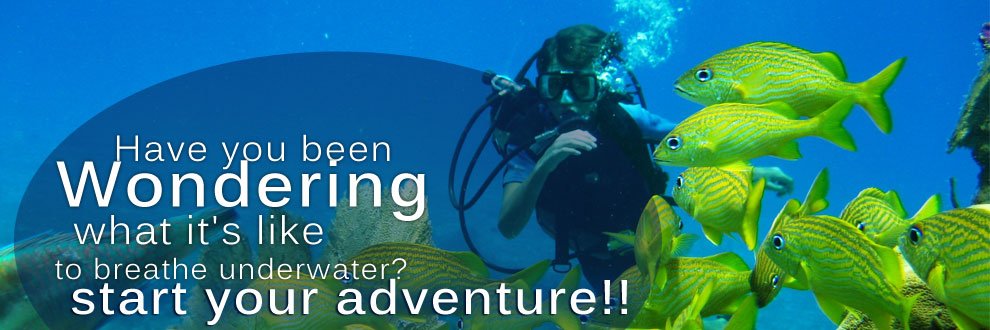 discover_scuba_diving